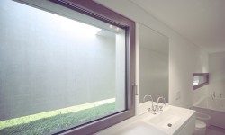 Etiam commodo convallis